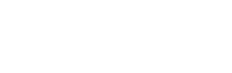 Twins Life